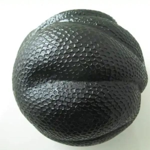 Snake Fossil - SF 57
