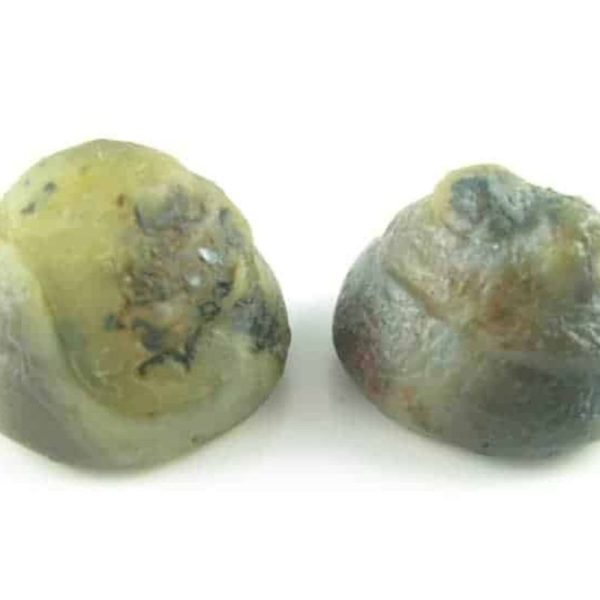 Amazing Python Crown Pearls - Type D1 (Mini)