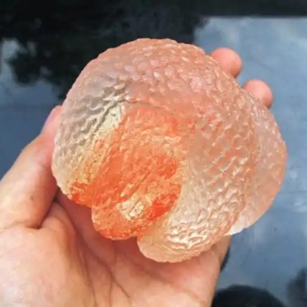 Crystal Snake Fossil - CS 15 - Glow in the Dark