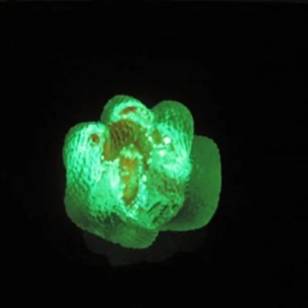 Crystal Snake Fossil - CS 15 - Glow in the Dark