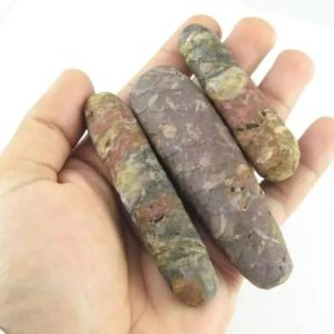 Sawo Kebang Snake Pearls - Type B1 in hand