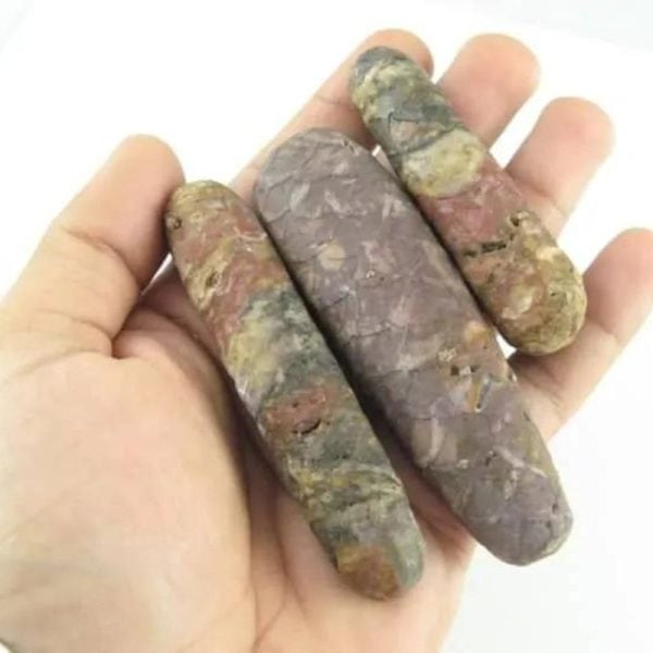 Sawo Kebang Snake Pearls - Type B1 in hand