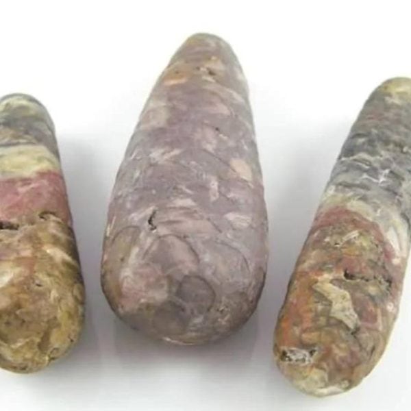 Sawo Kebang Snake Pearls - Type B1
