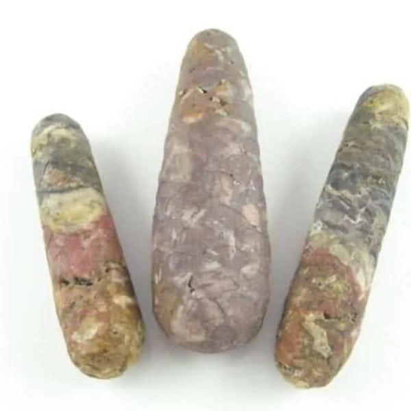 Sawo Kebang Snake Pearls - Type B1