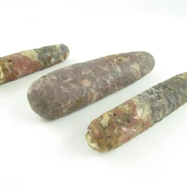 Sawo Kebang Snake Pearls - Type B1