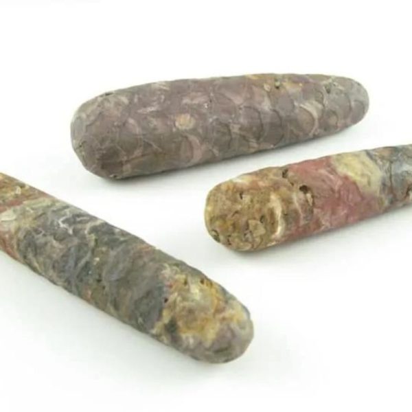 Sawo Kebang Snake Pearls - Type B1 - Image 5