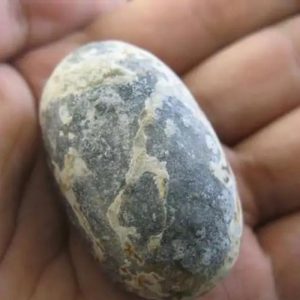 Luwok Snake Pearl - Type C1
