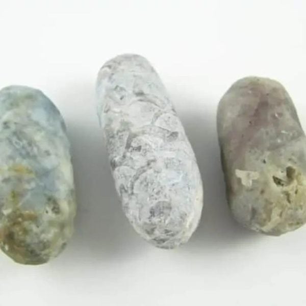 Luwok Snake Pearl - Type B1
