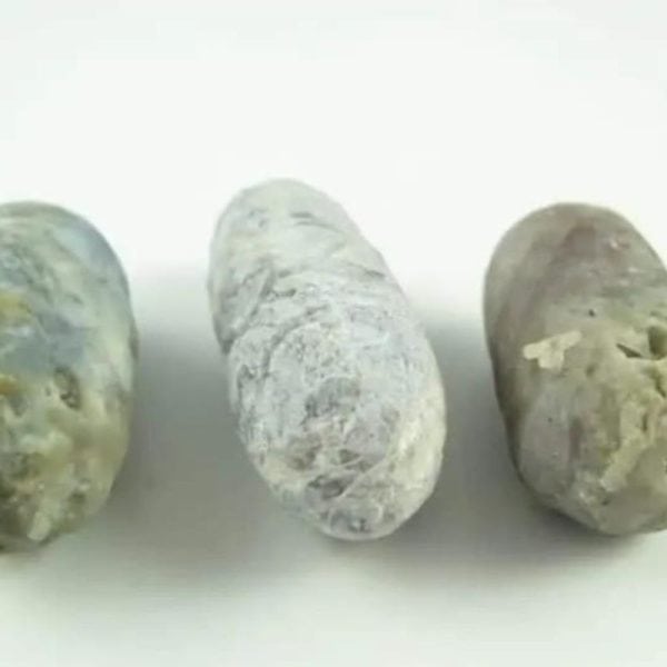Luwok Snake Pearl - Type B1