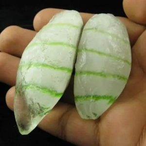 Luwok Snake Pearl - Type A3 (Male)