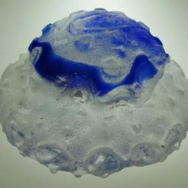 Star Snake Crown Pearl A1.4 - Blue