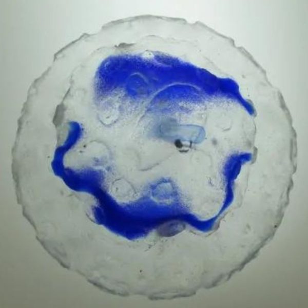 Star Snake Crown Pearl A1.4 - Blue