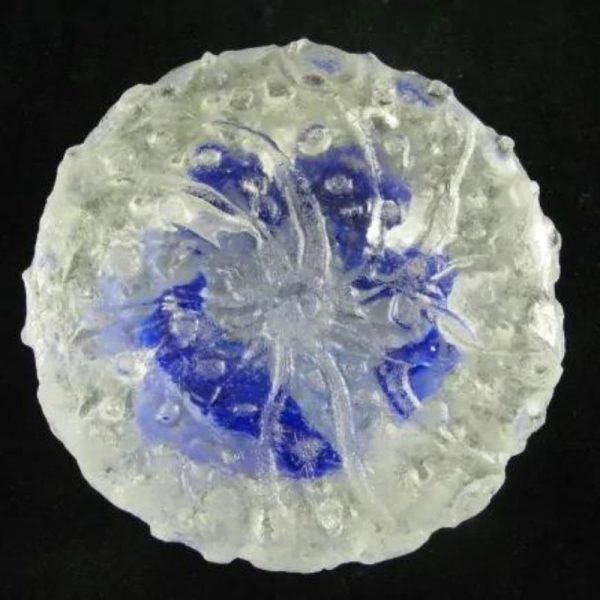 Star Snake Crown Pearl A1.4 - Blue