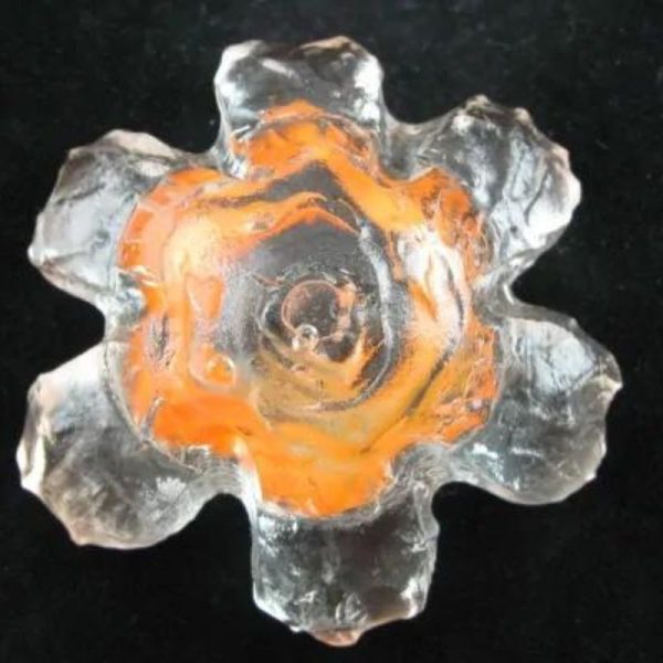 Star Snake Crown Pearl A1.2 - Orange