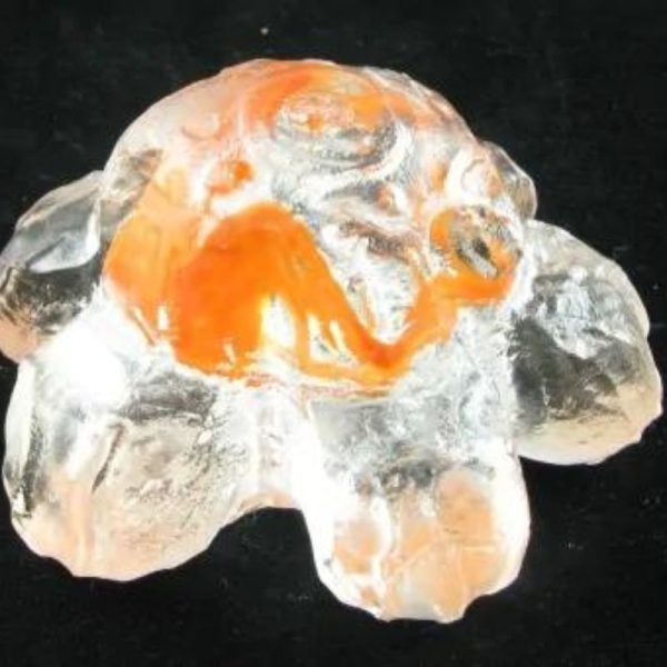 Star Snake Crown Pearl A1.2 - Orange