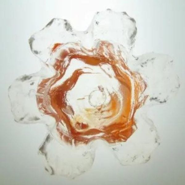 Star Snake Crown Pearl A1.2 - Orange