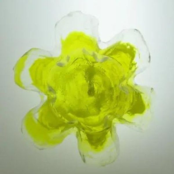 Star Snake Crown Pearl A1.1 - Yellow