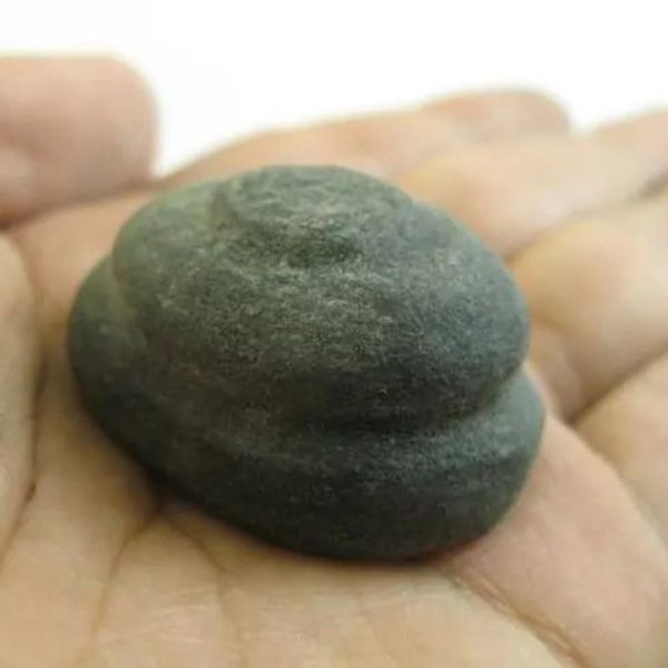 Sawo Keleng Snake Crown - Type A3