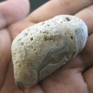 Ground Snake Pearl - Type D4