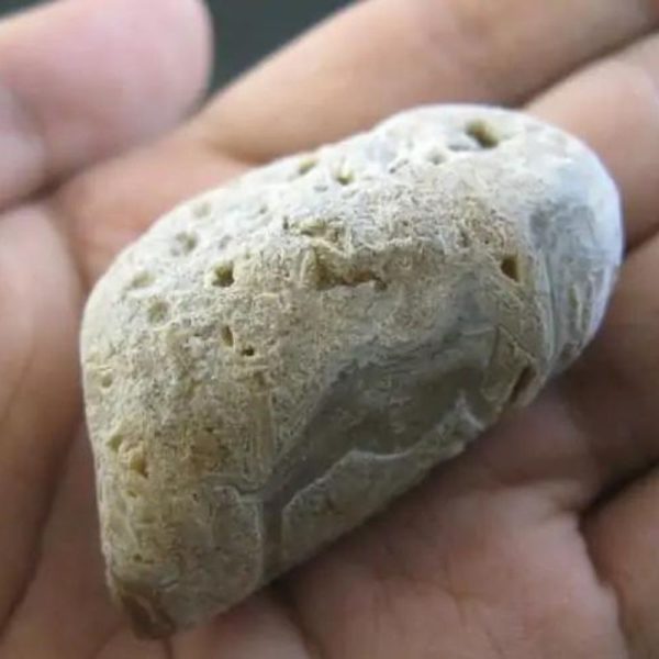 Ground Snake Pearl - Type D4