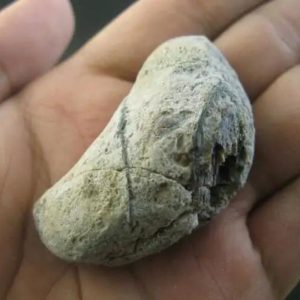 Ground Snake Pearl - Type D3