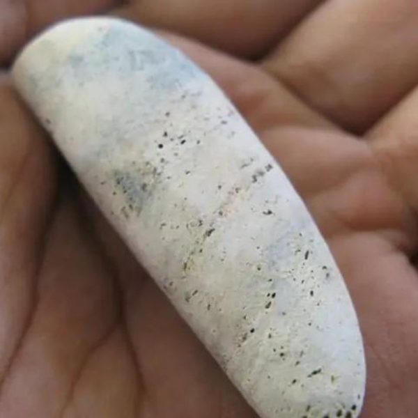 Ground Snake Pearl - Type C3