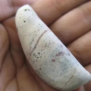 Ground Snake Pearl - Type C2