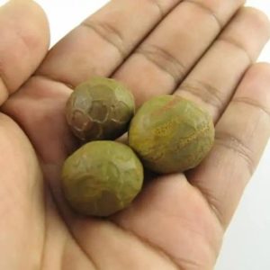 Sanca Putih Snake Pearls - Type D1