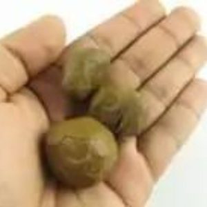 Sanca Putih Snake Pearls - Type D2