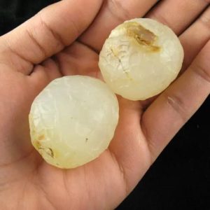 Sanca Putih Snake Pearls - Type B