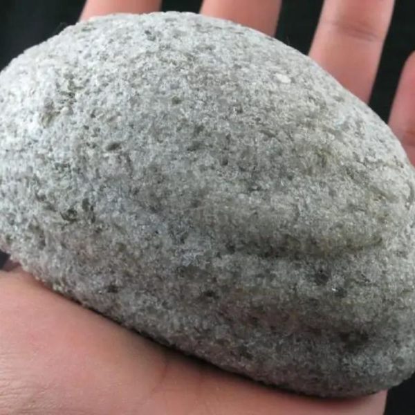 Naga Bumi Pearl - Type C1