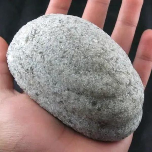 Naga Bumi Pearl - Type C1