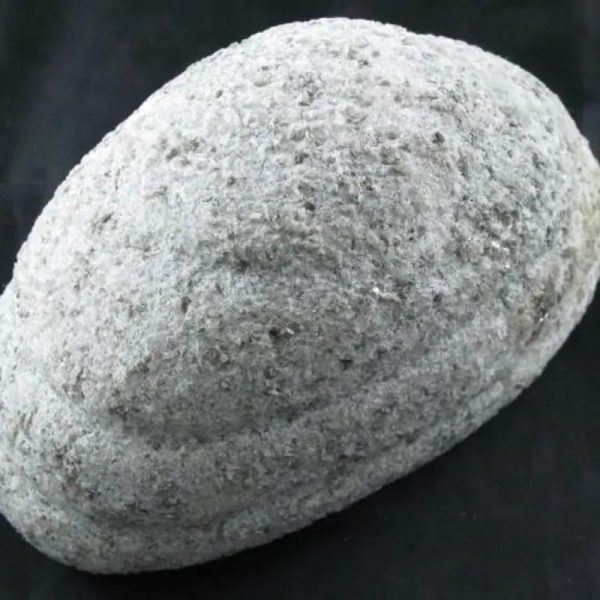 Naga Bumi Pearl - Type C2