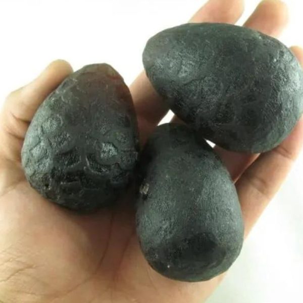 Naga Daru Kumala Pearl - Type A1