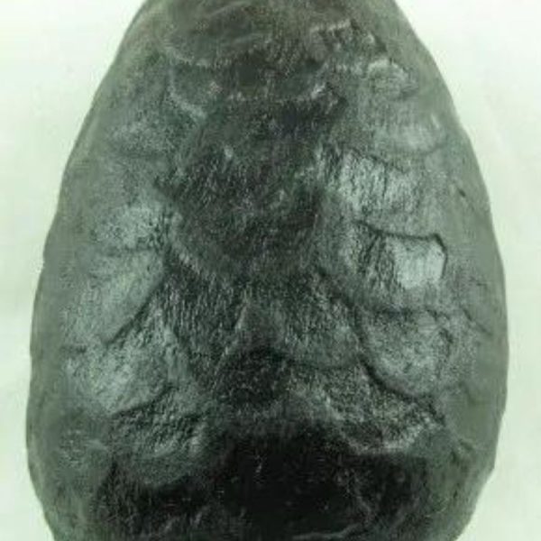 Naga Daru Kumala Pearl - Type A2 - Image 2