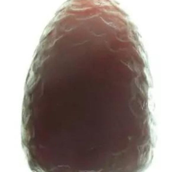 Naga Daru Kumala Pearl - Type A2