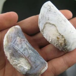 Kendang Snake Pearl - Type A1
