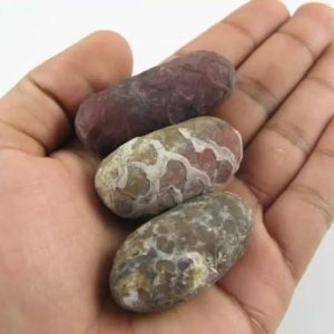 Kendang Snake Pearl - Type C1