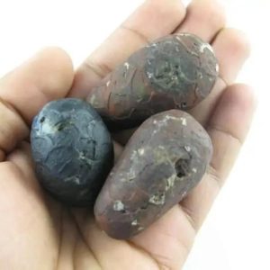 Kendang Snake Pearl - Type C3