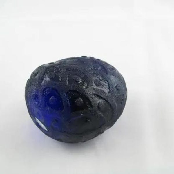 Rainbow Snake Blue F