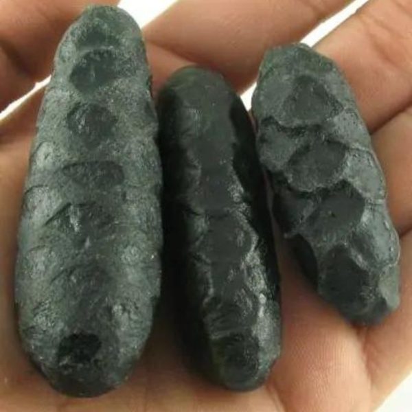 Black Cobra Pearl – Type F (India)