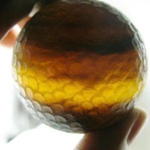 Sanca Madu Snake - Type H6