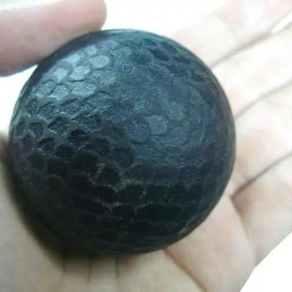Sanca Madu Snake – Type H2