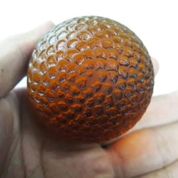 Sanca Madu Snake - Type H1