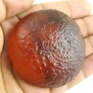 Sanca Madu Crown - Type D1
