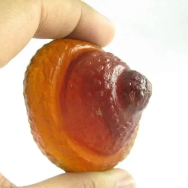 Sanca Madu Crown - Type C3