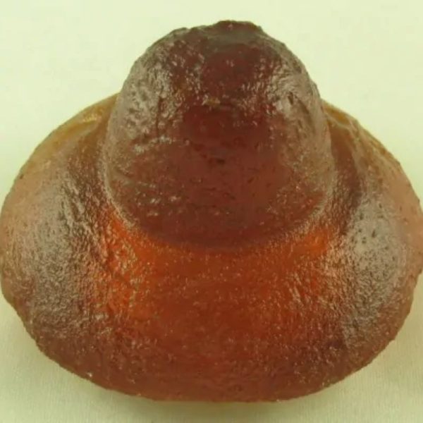 Sanca Madu Crown B