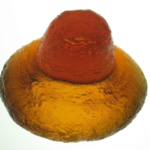 Sanca Madu Crown B