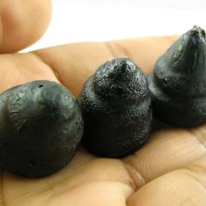 Sun Snake Crown Pearls Type - C