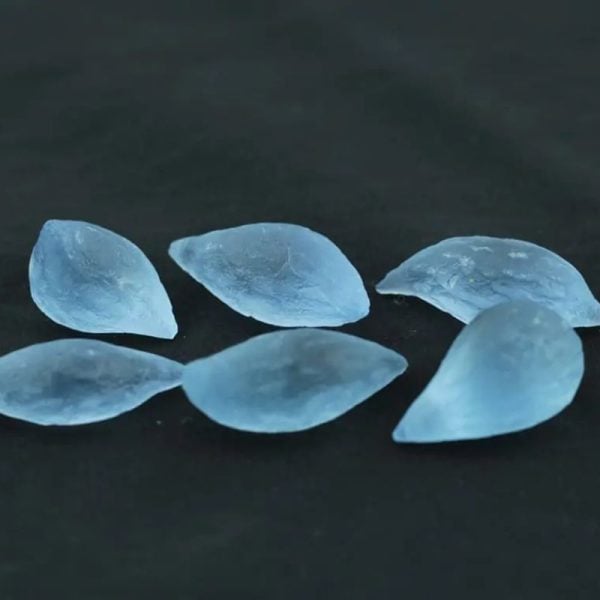 Sea Snake Pearls - Type M2